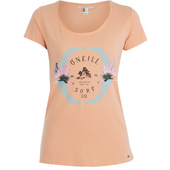 Oneil LW Highland T-Shirt 608602-3074 Oneil LW Highland T-Shirt 608602-3074