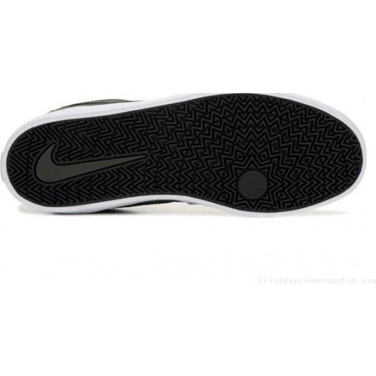 Nike SB Check Suede AR0132-002