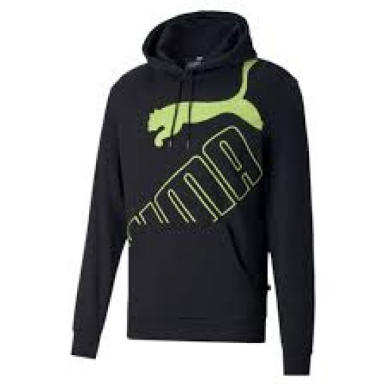 Puma Big logo Hoodie 583504-51