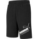 Puma Big Logo 585775-01