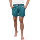 Emerson 201.EM501.84 Green