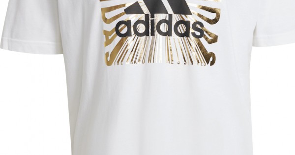 Adidas Extrusion Motion Puff-Print GL2392 White | Chanioglou.gr
