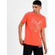 Puma Renaissance Cat 587775-79 Orange