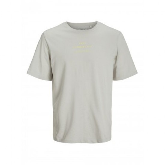 Product T-SHIRT 12270486 glacier gray