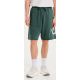 Emerson MEN’S SWEAT SHORTS πράσινη 251.em26.38 d. Green Emerson MEN’S SWEAT SHORTS πράσινη 251.em26.38 d. Green