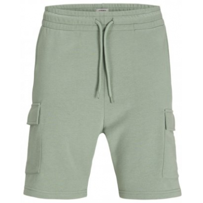 JJ REBEL by Jack & Jones SHORTS  green 12271173 iceberg green
