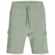 JJ REBEL by Jack & Jones SHORTS green 12271173 iceberg green JJ REBEL by Jack & Jones SHORTS green 12271173 iceberg green