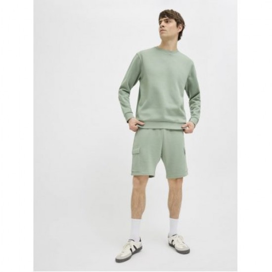 JJ REBEL by Jack & Jones SHORTS green 12271173 iceberg green JJ REBEL by Jack & Jones SHORTS green 12271173 iceberg green