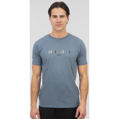 Rebase  T-Shirts with Print  251rts - 9017  dusty blue