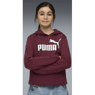 Puma Παιδικό Φούτερ με Κουκούλα Μπορντό Hoodie Fl 684896-96