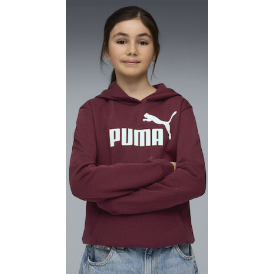 Puma Παιδικό Φούτερ με Κουκούλα Μπορντό Hoodie Fl 684896-96 Puma Παιδικό Φούτερ με Κουκούλα Μπορντό Hoodie Fl 684896-96