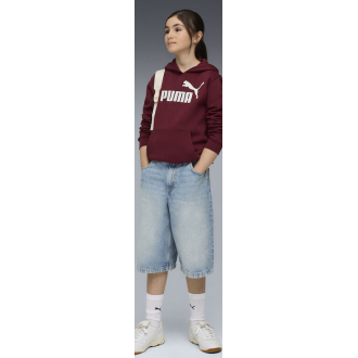 Puma Παιδικό Φούτερ με Κουκούλα Μπορντό Hoodie Fl 684896-96