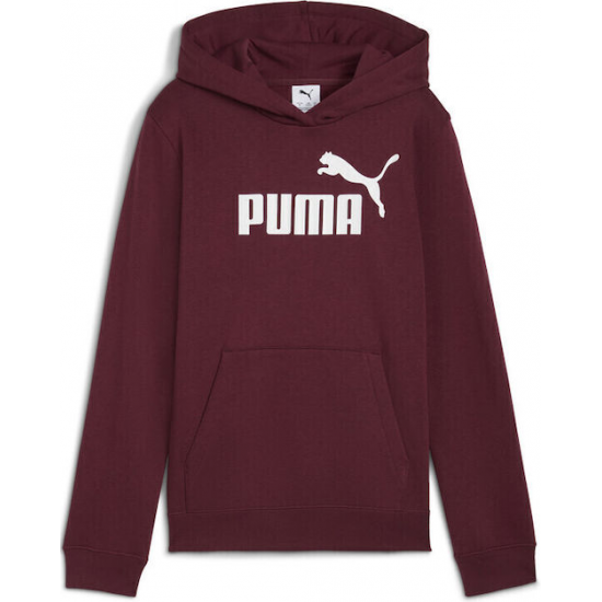 Puma Παιδικό Φούτερ με Κουκούλα Μπορντό Hoodie Fl 684896-96 Puma Παιδικό Φούτερ με Κουκούλα Μπορντό Hoodie Fl 684896-96