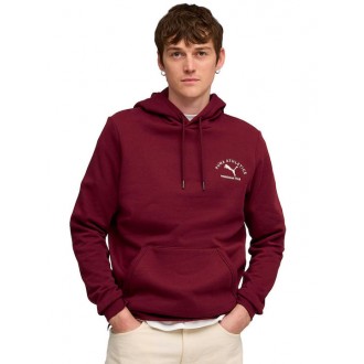 Puma Graphic Sweatshirt with Hood Burgundy 688221 - 96 Puma Graphic Sweatshirt with Hood Burgundy 688221 - 96