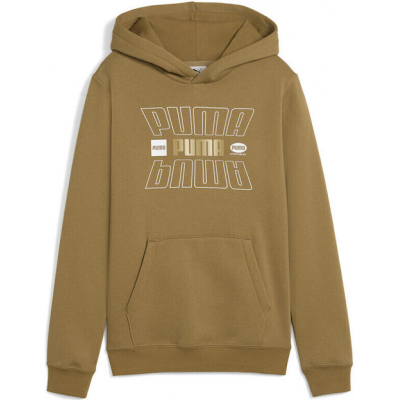 Puma Παιδικό Φούτερ με Κουκούλα Καφέ 690280 - 69