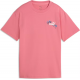 Puma Essentials Nature 2.0 Relaxed Graphic Tee G 692470-25