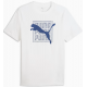 Puma  Graphic Tee Men 691775-02