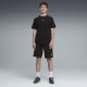 Puma Essential Tape Shorts Ανδρική Βερμούδα 691696-01 Puma Essential Tape Shorts Ανδρική Βερμούδα 691696-01