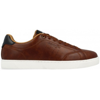 Wrangler Sneakers Thomas Men Low 20261001.JCU tortoise shell Wrangler Sneakers Thomas Men Low 20261001.JCU tortoise shell