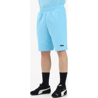Puma Essentials 2 Color No.1 Logo Βερμούδα Αθλητική Ανδρική 684715-45