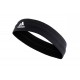 TEN HEADBAND S97910